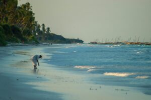 Loty na Zanzibar